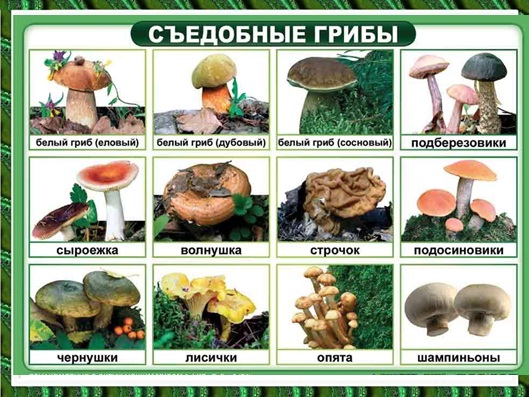 ÐаÑÑинки по запÑоÑÑ ÐУÐЬТРÐÐÐЧÐÐÐÐ Ð ÐÐ ÐÐÐÐÐ!